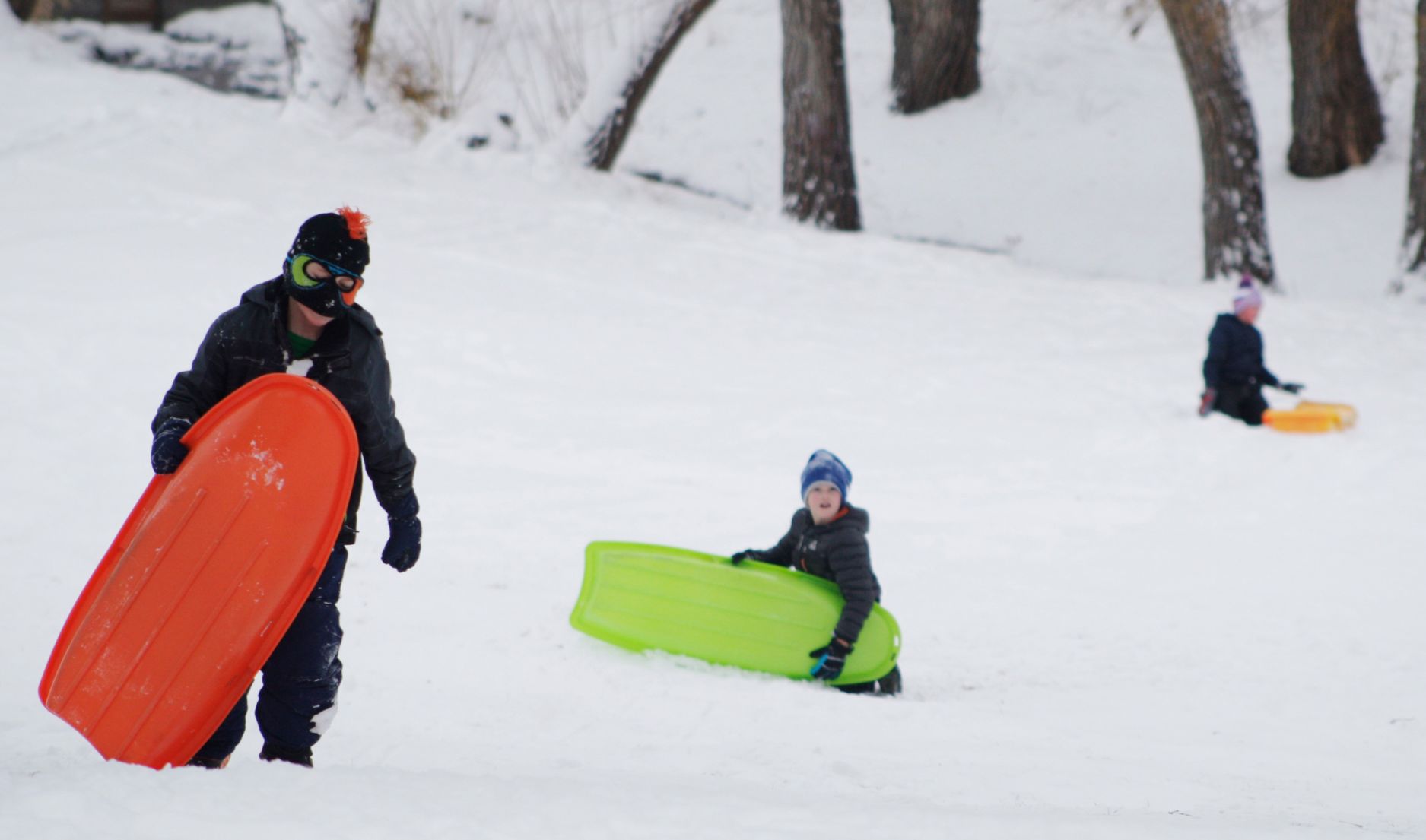 Children sled in Pioneer Park